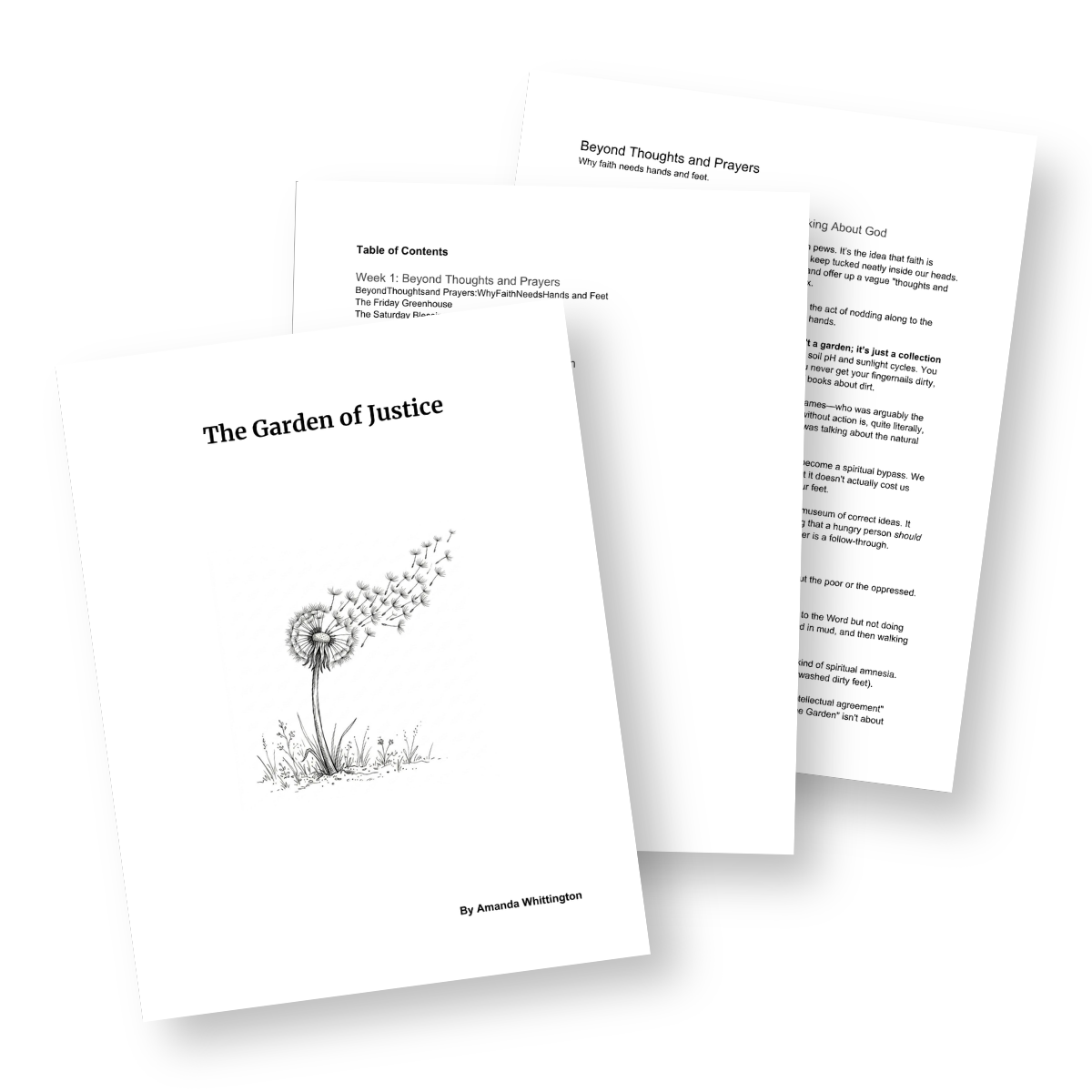 The Garden of Justice: Connecting personal peace to a better world.