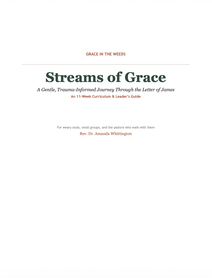 A Trauma-Informed Journey Through James (Curriculum & Leader's Guide)